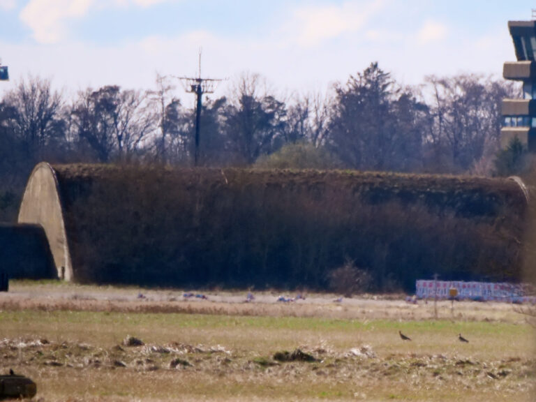 BV 2024 Vögel da